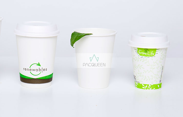 Single-wall White Bagasse Paper Cups 1.jpg