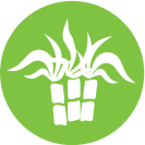 ICON_Sugarcane.png