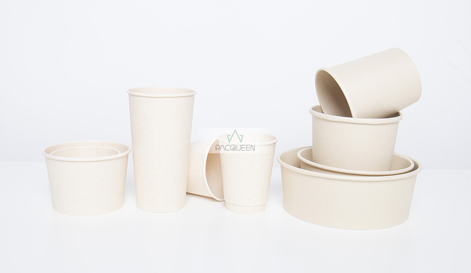 Bagasse-Paper-Packaging-web.jpg